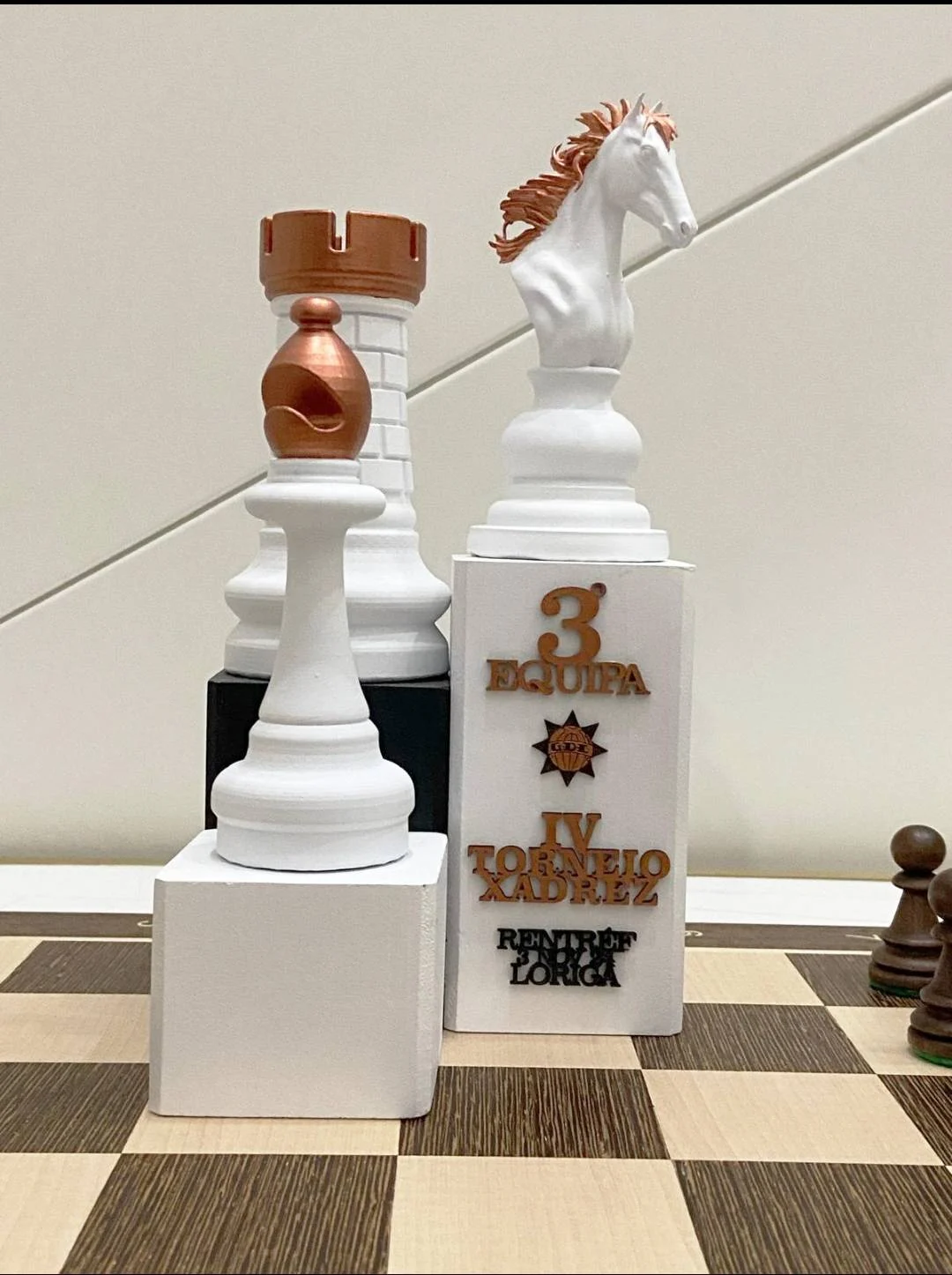 Xadrez Clube De Xadrez Da Ugt De Viseu Conquistou O 3 º Lugar No Torneio Internacional Foto Manuel Martins